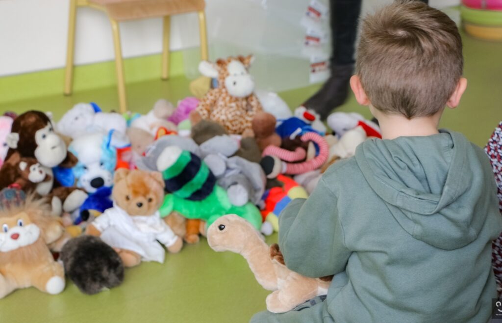 Animation-peluchologie-classification-especes (2)