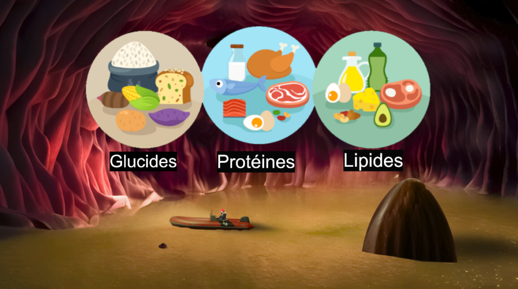 Capture d’écran 2024-11-29 140040